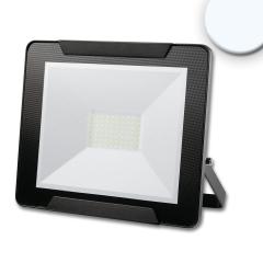 LED floodlight 50W, cold white, black, IP65