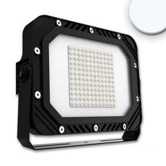 LED floodlight SMD 150W, 75°*135°, cold white, IP66, 1-10V dimmable
