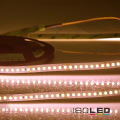 LED CRI Food Flexband Bread, 24V DC, 14,4W, IP54 Nano beschichtet, 5m Rolle, 140 LED/m